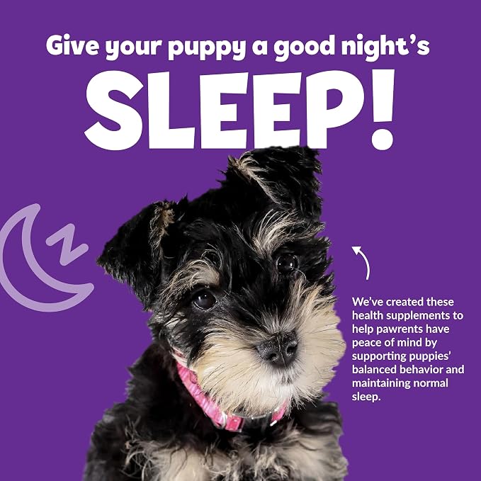 Snuggle Puppy Night Calm Puppy Bites with Melatonin, Chamomile & Ashwagandha - Calming Treats for Dogs - Melatonin for Dogs to Support Restfulness & Sleep - 60 Soft Chew Dog Treats