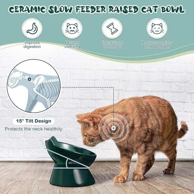 Funnymoom 2 Pcs Ceramic Raised Slow Feeder Cat Bowl, 5.91inch Elevated Cat Slow Feeder Bowl Tilted Anti Vomiting for Dry Wet Food and Water Easy to Clean High Edge(Dark Green)