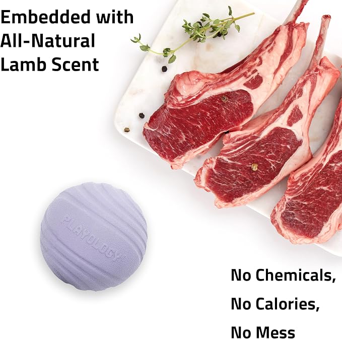 Playology Dog Toys | Dual Layer Ball Durable Chew Toy for Tough Chewers | Lamb Scented Medium Dog Toy | Chew Toys for Dogs