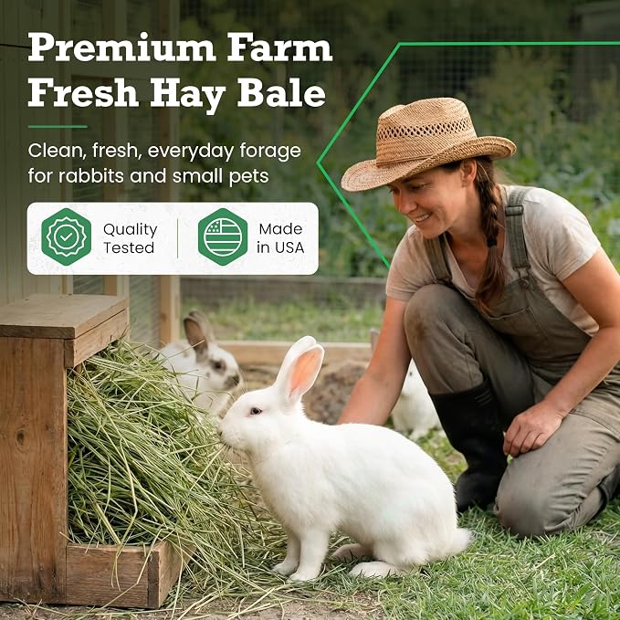 Border Valley Alfalfa Hay Bale in Bag, 40 lb - High Fiber Hay for Rabbits, Guinea Pigs, Chinchillas, Tortoises, Horses and Livestock - Protein-Rich Plant-Based Nutrition, Farm-to-Home Freshness