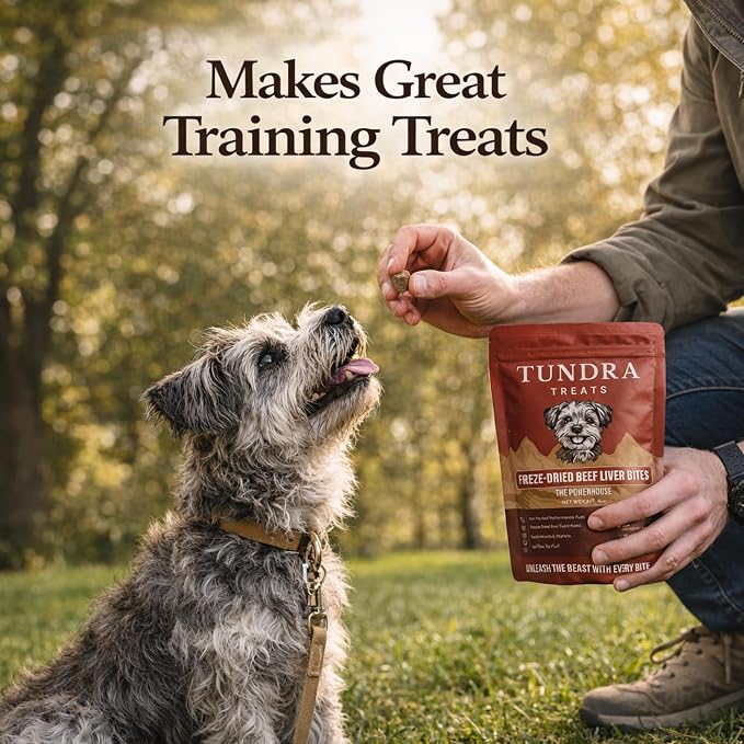 Freeze-Dried Dog Treats – Single Ingredient, High Protein, All-Natural (4 Pack)