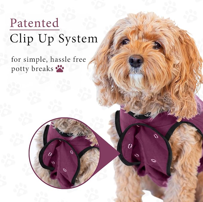 BellyGuard Dog Surgery Recovery Suit, Post-Op Dog Recovery Suit for Female Spay & Male Neuter, Comfy Onesie for Pets, Surgical Body Cover for Canine Healing Support