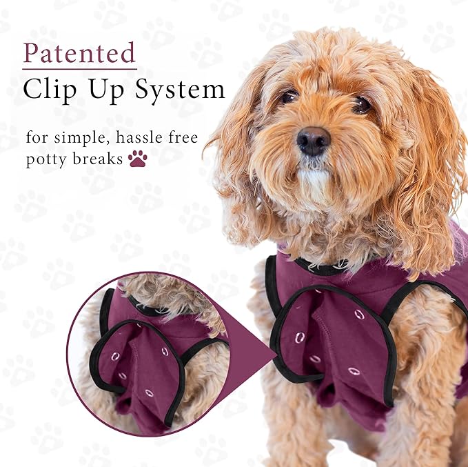 BellyGuard Dog Surgery Recovery Suit, Post-Op Dog Recovery Suit for Female Spay & Male Neuter, Comfy Onesie for Pets, Surgical Body Cover for Canine Healing Support