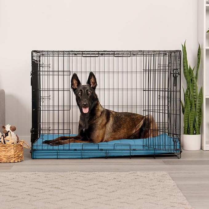 Furhaven Orthopedic Dog Bed – Puffy Quilted Foam Mattress with Removable Washable Cover, Soft & Supportive for Kennels & Crates - X-Large, Lagoon