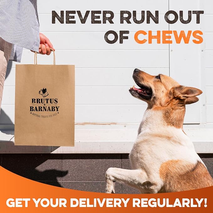 BRUTUS & BARNABY Yak Cheese Himalayan Dog Chews for Aggressive Chewers – Rich in Nutrients, Long Lasting Yak Chews for Small to Large Dogs.(12pk)