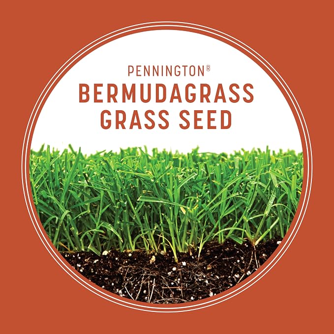 Pennington Bermudagrass Grass Seeds for Lawn, 15 lb