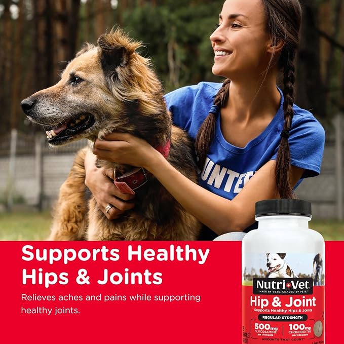 Nutri-Vet Hip & Joint Regular Strength Joint Dog Supplements, Formulated with Glucosamine Chondroitin, Pet Supplies, Hip Supplement for Dogs, Glucosamine Chews, Puppy Essentials, 75 Count Chewables
