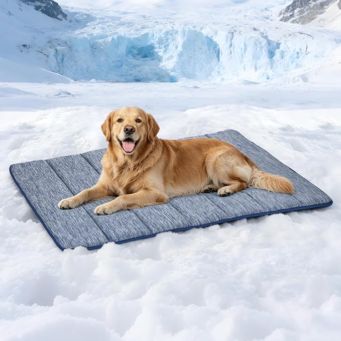 Dog Cooling Mat for Large Dogs – 41"x27" Orthopedic Memory Foam Pad for Summer, Hot Weather & Joint Relief | Washable, Non-Slip Crate Mat for Senior Dogs, Travel & Home (Wander Blue)