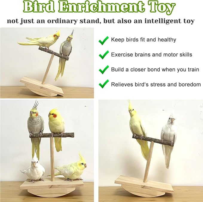 Natural Wood Bird Spinner & Perch Set (2PCS) - Chewing Hanging Toys with Bells & Training Stand for Cockatiel, Conure, Lovebird, Budgie, Quaker - Puzzle Enrichment