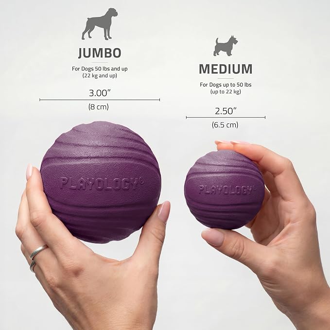 Playology Dog Toys | Dual Layer Ball Durable Chew Toy for Tough Chewers | Bacon Scented Medium Dog Toy | Chew Toys for Dogs