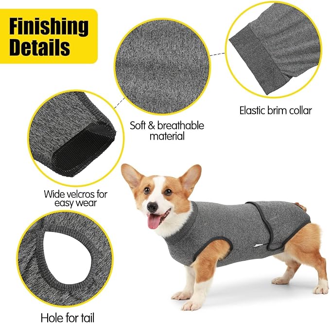 Sanitary Dog Pantie Full Body Dog Diaper - Reusable Physiological Clothing for Male & Female Dogs - Menstruation & Neuter Recovery Diapers - Washable (M)
