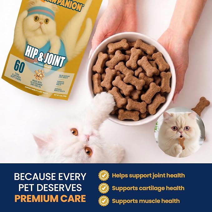 Hip & Joint Soft Chews for Cats Joint Support & Mobility 60 Count
