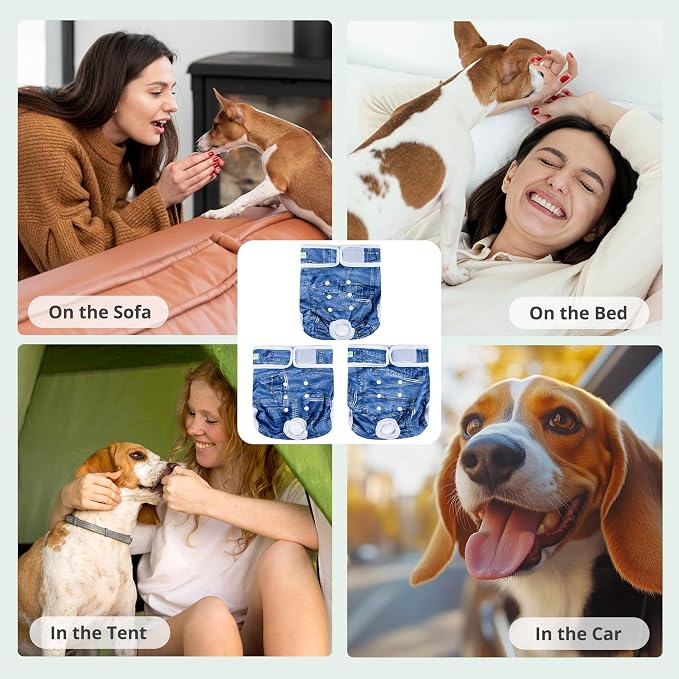 wegreeco Washable Female Dog Diapers Highly Absorbent Reusable Diapers for Dog in Heat Period, 3 Pack (Blue Jeans, XX-Large)