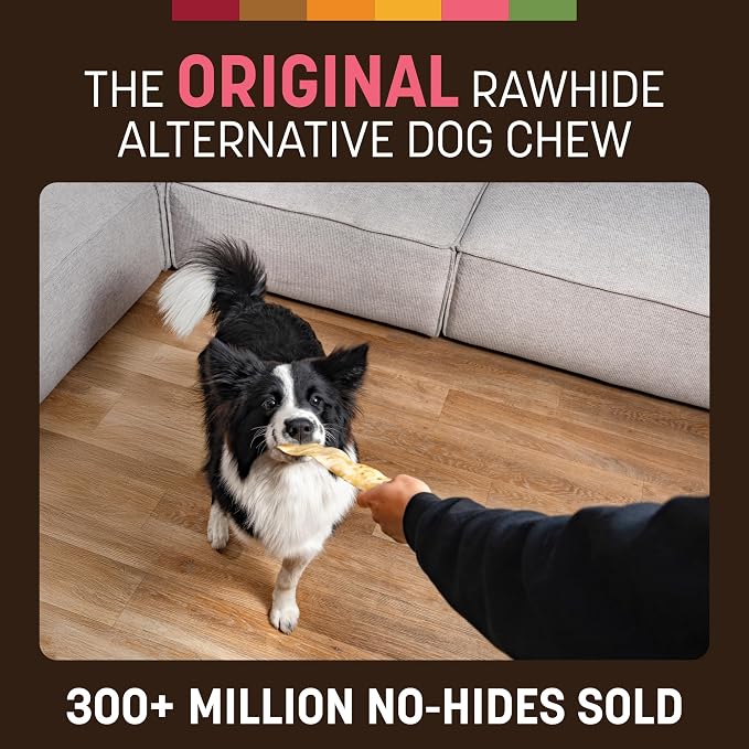 Earth Animal No Hide Strips - Natural Rawhide Free Dog Chew Strips, Salmon - 16 Count