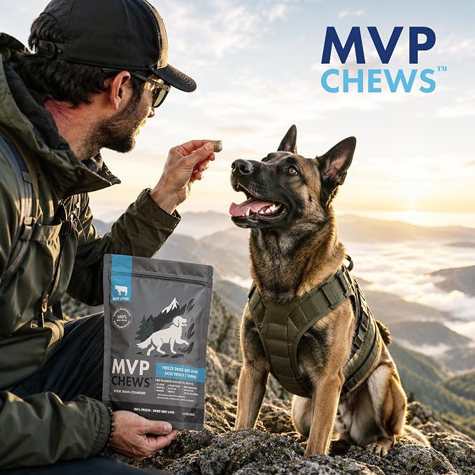 MVPChews | Freeze Dried Beef Liver Dog Treats | Single Ingredient Training Treats | High Protein, Grain Free, No Additives or Fillers | Premium Quality Food Topper | Made in USA - 3.5oz