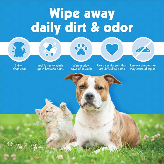 Petkin Large Pet Wipes for Dogs and Cats, 200 Count, Organic Oat Extract, Moistened with Gentle Cleaning Formula, Ideal for Home or Travel