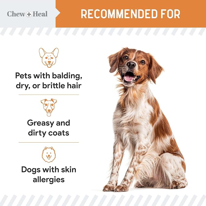 Omega 3 Fish Oil for Dogs Small Breeds & Puppies - 180 Mini Softgels - Dog Skin & Coat Supplement 300mg Wild Caught Salmon Oil - Shedding, Itch Relief, Hot Spots, Allergies - EPA and DHA - Chew + Heal