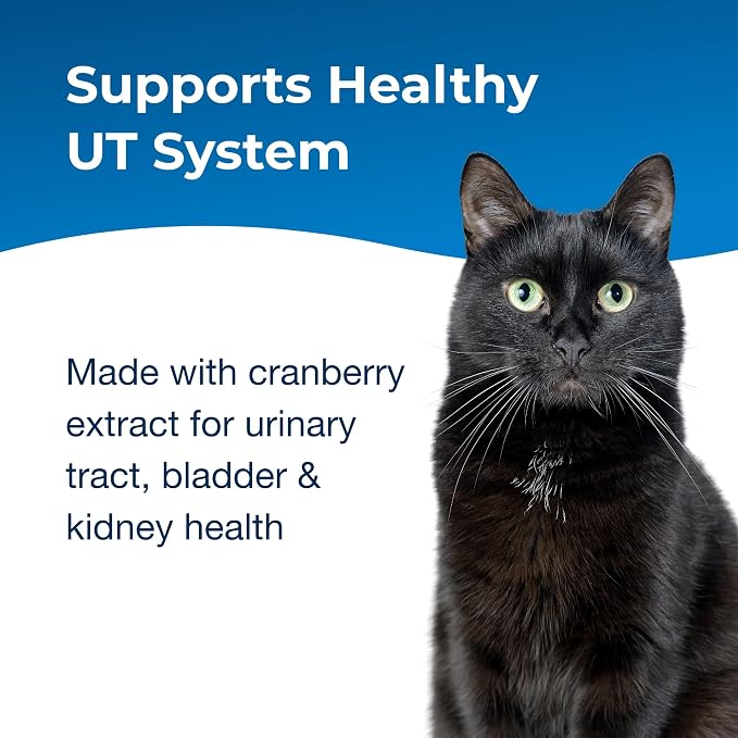 PetAg UT Solution Gel Supplement for Cats - 3.5 oz - Supports a Healthy Urinary Tract for Cats 6 Months and Older