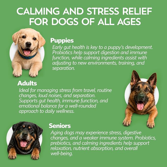 Fidobiotics Relaxin’ Rover Calming Supplement, Probiotics for Dogs with Valerian, Chamomile & GABA for Stress & Anxiety Relief, Tasty T-Bone Flavor 20 Servings