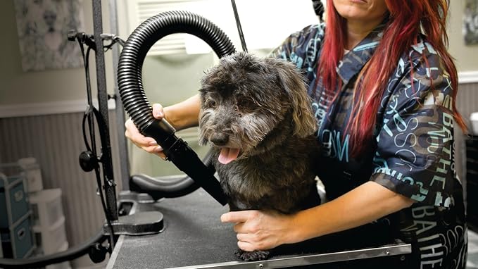 METROVAC Pink AF Commander 2 Speed Kit Bundle with Hoodini Calming Band for Dogs & Cats - L