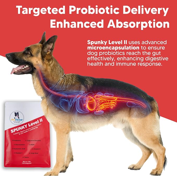 Spunky Level II Hip and Joint Supplement for Dogs, Glucosamine for Dogs with MSM, Dog Vitamins and Supplements Helps Digestion, Dog Joint Supplement - 1LB