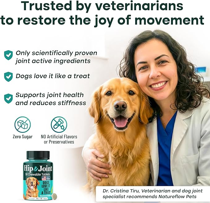 Hip & Joint Supplement for Dogs, 300mg Green-Lipped Mussel for Dog Arthritis Pain Relief, Glucosamine, MSM & Chondroitin, Zero Sugar, Large Medium Small Breeds, 100 Chewable Tablets