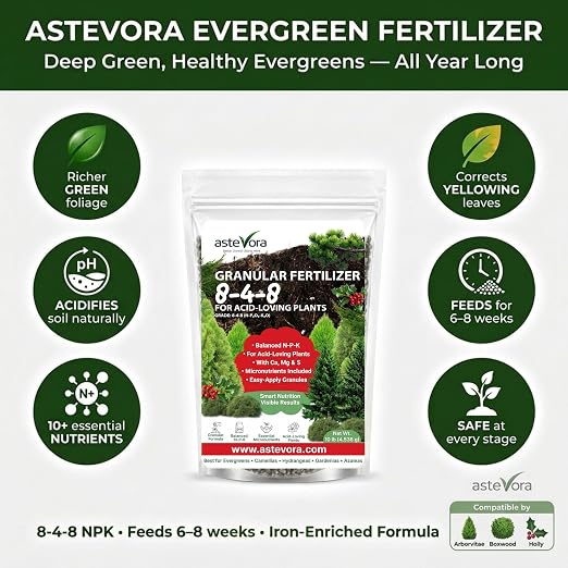 GARDENWISE Evergreen Fertilizer – All-Purpose Granular Plant Food for Outdoor Trees and Shrubs, Azaleas, Magnolias, Pines & Arborvitae – Slow-Release Formula (5 quarts)