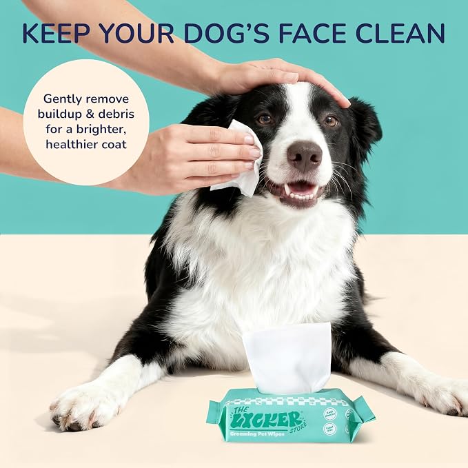 PWP1008A Mini Dog Body Wipes, Hypoallergenic Pet Grooming Wipes with Aloe Vera, Chamomile & Shea Butter, for Paws, Face & Body, Cleaning & Hydrating, 48 Count (6 Packs)