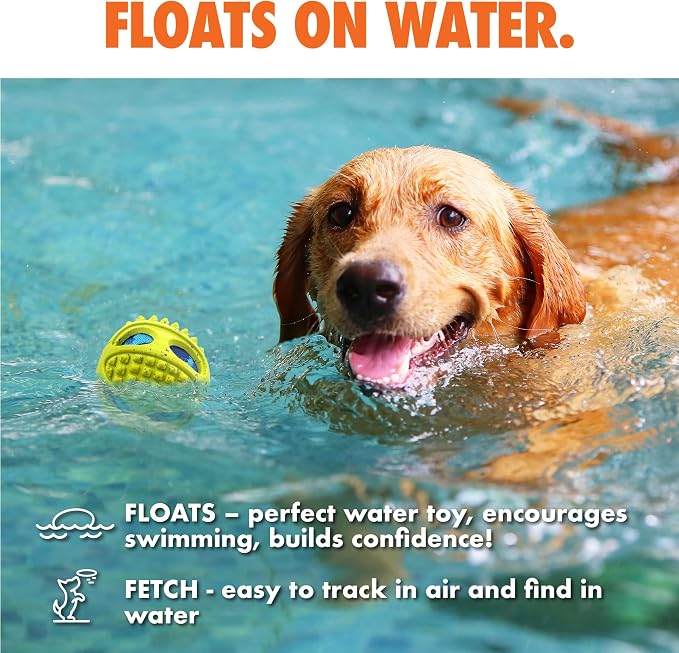Max Fusion Made with Nike Grind, Arlee Meteor Ball Dog Toy, Toys for All Dogs, Durable & Natural Rubber Chew Toy for Play, Fetch & Chewing, Small, Yellow, 1 Count