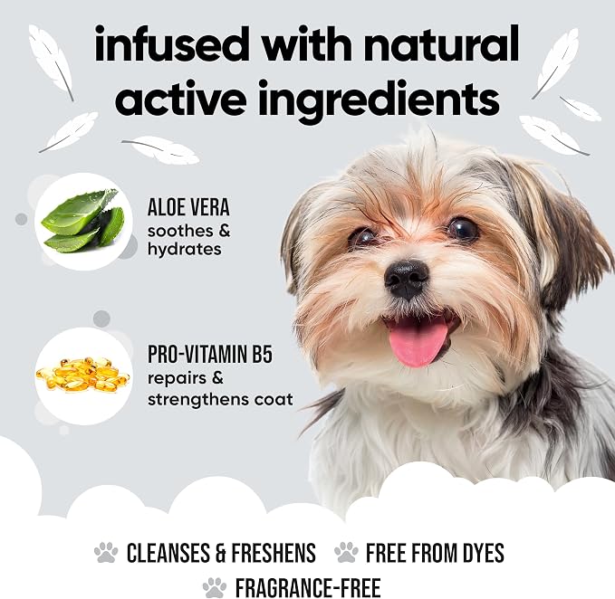 Buddycare Derma Sensitive Dog Shampoo with Aloe Vera and Pro Vitamin B5 (169.07oz)