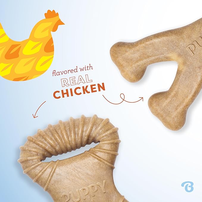 Benebone Puppy 2-Pack Dental Chew/Wishbone Durable Dog Chew Toys for Gentle Chewers, Real Chicken, Made in USA, Tiny