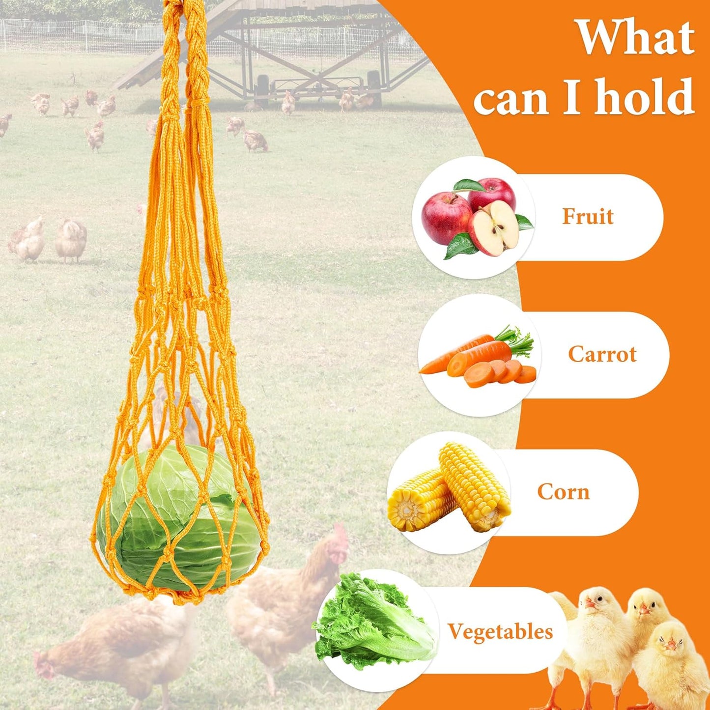 6 PCS Chicken Toys for Coop, 2PCS Chicken Mirror Toys 2 PCS Hanging Vegetable Fruits Feeders and 2 PCS Beak Grinding Molar Stones with Bell for Hen Birds Parrots