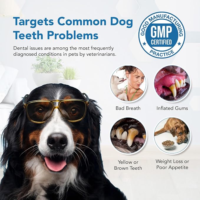 Dental Powder for Dogs - Plaque Control & Tartar Remover, Breath Freshener | Perio Support Powder for Dogs with Probiotics, Vitamins & Natural Extracts - 2.82 oz (80g)