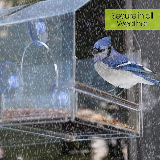 Nature Gear Window Bird Feeder with Strong Suction Cups, Clear Acrylic Window Mounted Bird Feeder, Removable Sliding Tray, Weather-Resistant, Durable, Squirrel-Resistant, House Style