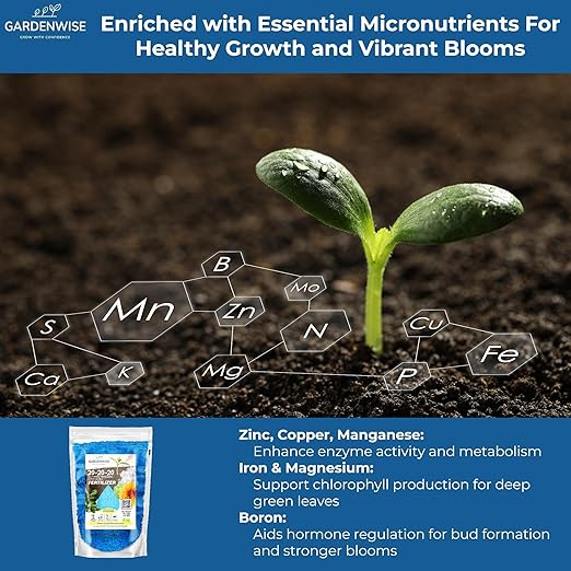 Gardenwise 20-20-20 Water-Soluble Fertilizer – Powder for Liquid Plant Food for Indoor & Outdoor Plants, Orchids, Vegetables, Lawns, Flowers – 20 20 20 Fertilizer (8 oz)