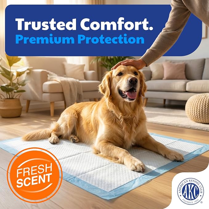 American Kennel Club Puppy Training Pads for Dogs, 30 Count, 44" X 28" XXL Fresh Scented, Absorbent Leak-Proof Dog Pee Pads in Box