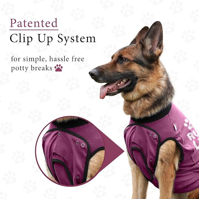 BellyGuard Dog Surgery Recovery Suit, Post-Op Dog Recovery Suit for Female Spay & Male Neuter, Comfy Onesie for Pets, Surgical Body Cover for Canine Healing Support