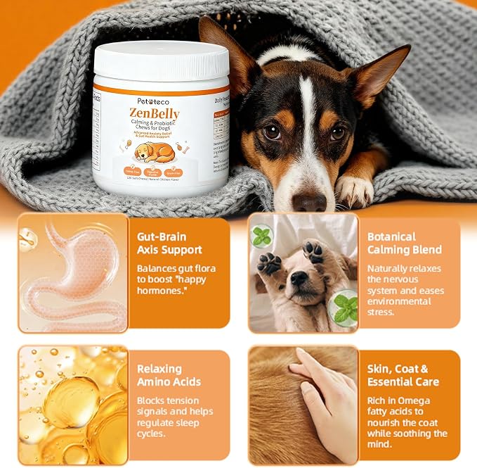 ZenBelly Calming Chews for Dogs, Probiotic Calming Treats for Stress Support, Separation Anxiety, Travel, Thunderstorms & Fireworks, Hemp Free, Grain Free, Chicken Flavor, 120 Soft Chews