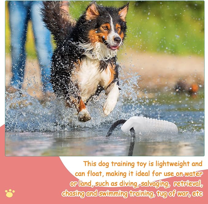 Blueweenly 6 Pcs Dog Bumper Toy for Water Retrieving Plastic Puppy Training Dummy Dog Float Toy Lightweight for Float on The Water Pool Outdoor Training Hunting Fetching (Assort Color)