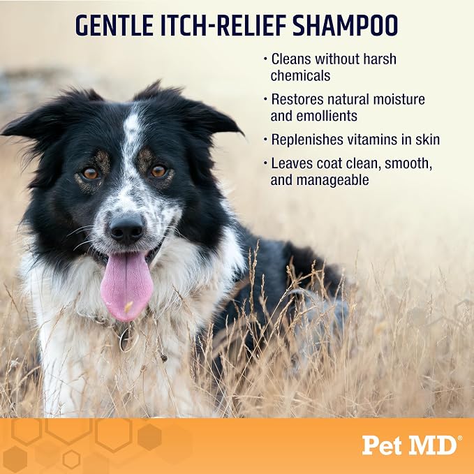 Pet MD Oatmeal + Aloe Shampoo & 3-in-1 Pet Balm