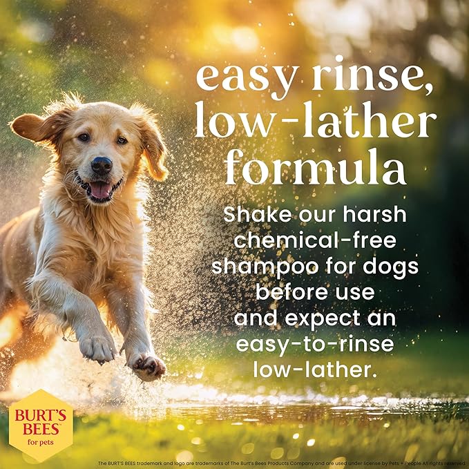 Burt's Bees for Pets Oatmeal Dog Shampoo with Honey, Soothing Formula for Itchy and Sensitive Dog Skin, Colloidal Oat Flour and Honey, pH Balanced, Sulfate-Free, 16 Fl Oz - 6 Pack