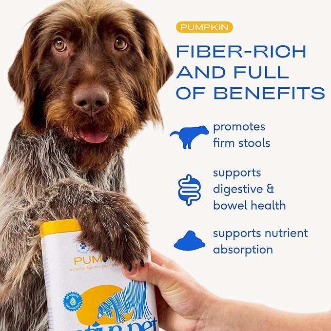 Native Pet Pumpkin for Dogs - Organic Dog Food Topper Powder - Promotes Firm Stools, Supports Digestive, Bowel Health & Nutrient Absorption - USDA Organic, Rich in Fiber with Real Pumpkin - 120 Scoops