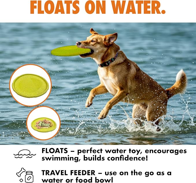 Max Fusion with Nike Grind, Arlee Frisbee Dog Toy, Chew Toy for Play, Fetch, Tug, L