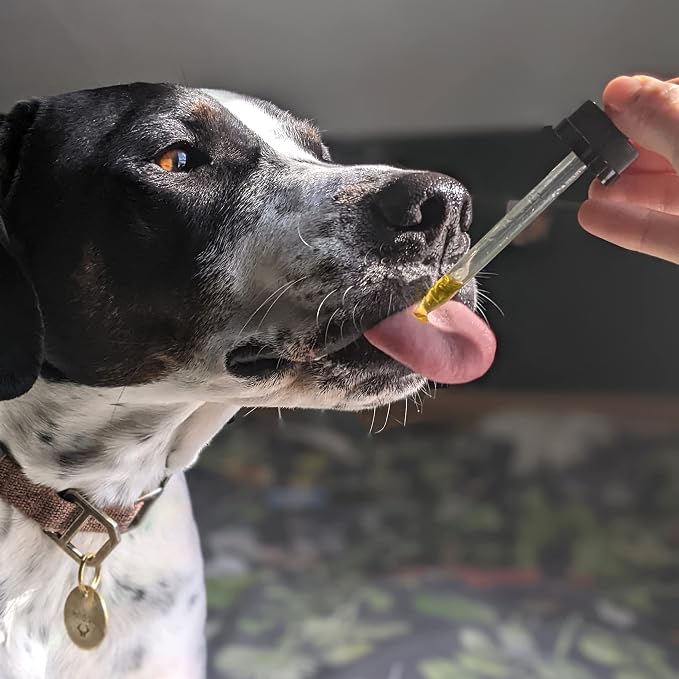Hemp Well Calm Dog Oil, Calming Support for Dogs with Chamomile, Melatonin & Lemon Balm, Organic Hemp Seed Oil, Stress Support for Travel, Thunderstorms & Separation, 2 oz