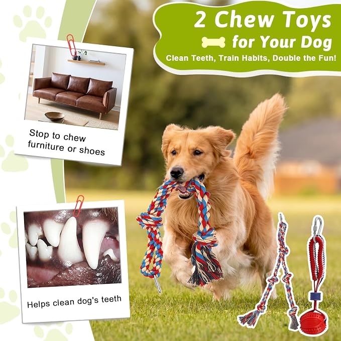 Outdoor Dog Tug Toy for Backyard, Dog Tether Toy, Adjustable Height Durable Spring Pole Dog Toy for Small Medium Dogs, Interactive Hands-Free Dog Exercise Toy with 2 Chew Rope Toys