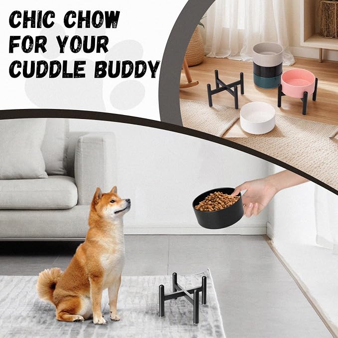 Raised Ceramic Dog Bowl, 6.1'' Modern Feeding Bowl with Non-Slip Stainless Steel Stand, Elevated Food or Water Dish for Small to Medium Dogs, 2 Cups (28.75 fl oz) - Green