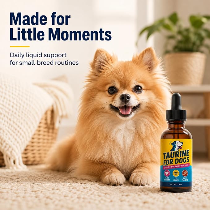 Taurine for Dogs, Bacon Flavored Heart & Eye Wellness Drops with Eyebright, 100mg Taurine Per 1mL, Daily Dog Amino Acid Support, for Small, Medium & Large Dogs, 1 fl oz