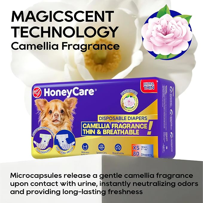 HONEY CARE Petrichor Female Dog Diaper, Camellia Fragrance, Emits Fresh Scent While Absorbing Urine, Thin & Breathable, 2 Fashion Designs in 1 Package, XS, 80 Count
