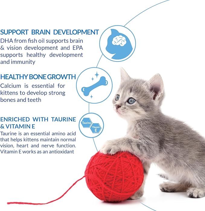 INABA Churu for Kittens, Creamy, Purée Lickable Cat Treats with DHA, EPA, Vitamin E & Taurine, 0.5 Ounces Each, 24 Tubes (4 per Pack), Chicken Recipe