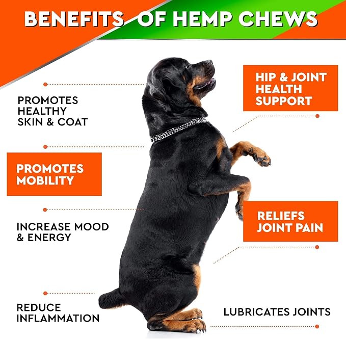 Hemp Hip & Joint Supplement for Dogs - 2 Jars Bacon + Duck Flavoring - Glucosamine, Chondroitin, MSM, Turmeric, Hemp Seed Oil & Hemp Protein for Joint Pain Relief & Mobility - 240 Chews Made in USA